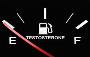Der Testosteronspiegel