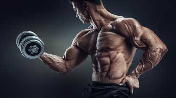 Gewichte Zum Muskelaufbau