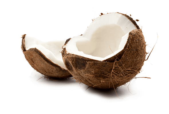 Kokosnuss Frucht